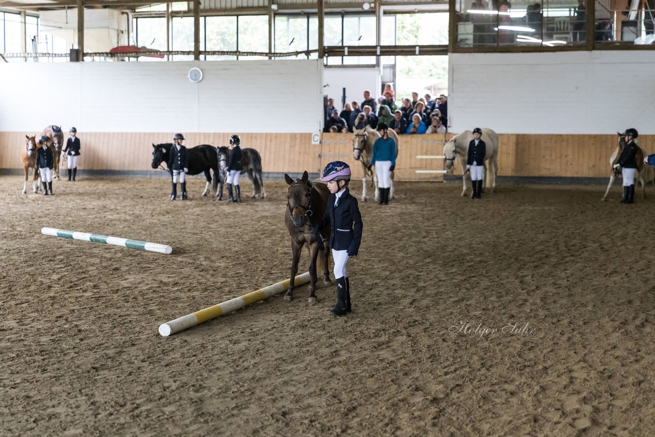 Bild 101 - Pony Akademie Turnier